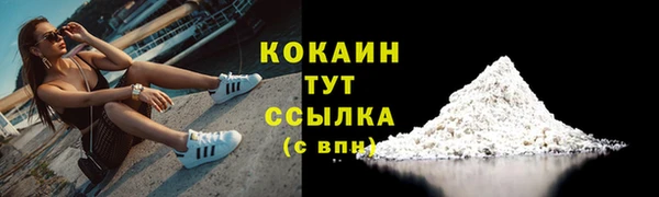 твердый Верхний Тагил