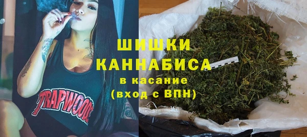 твердый Верхний Тагил
