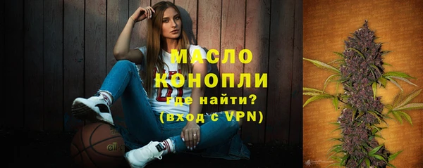 твердый Верхний Тагил